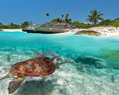 Playa del Carmen – México